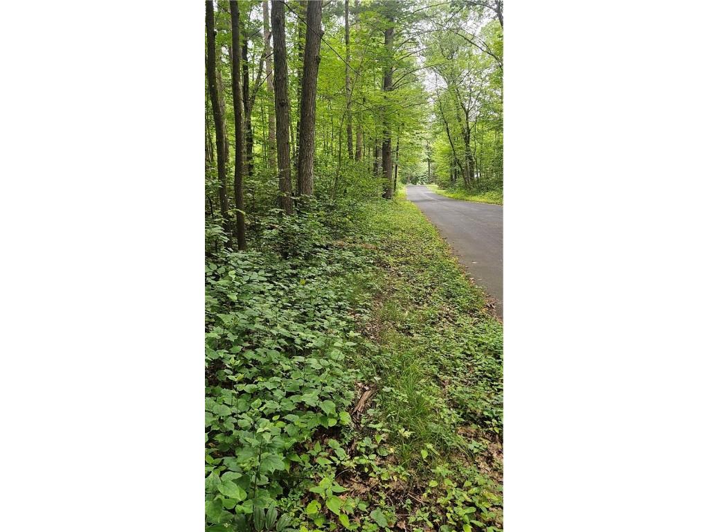 Lots 17 18 36-40 BLK 13 Dixon Ave Hayward WI 54843 1594813 image3