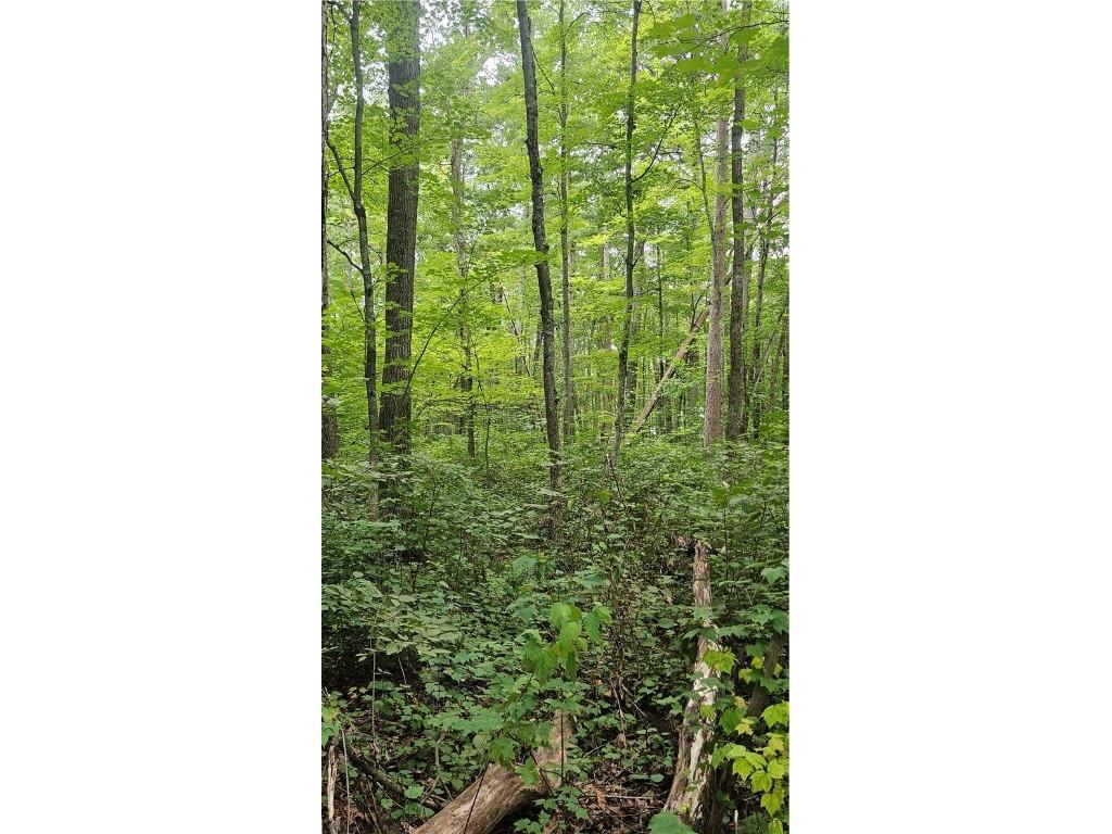 Lots 17 18 36-40 BLK 13 Dixon Ave Hayward WI 54843 1594813 image4