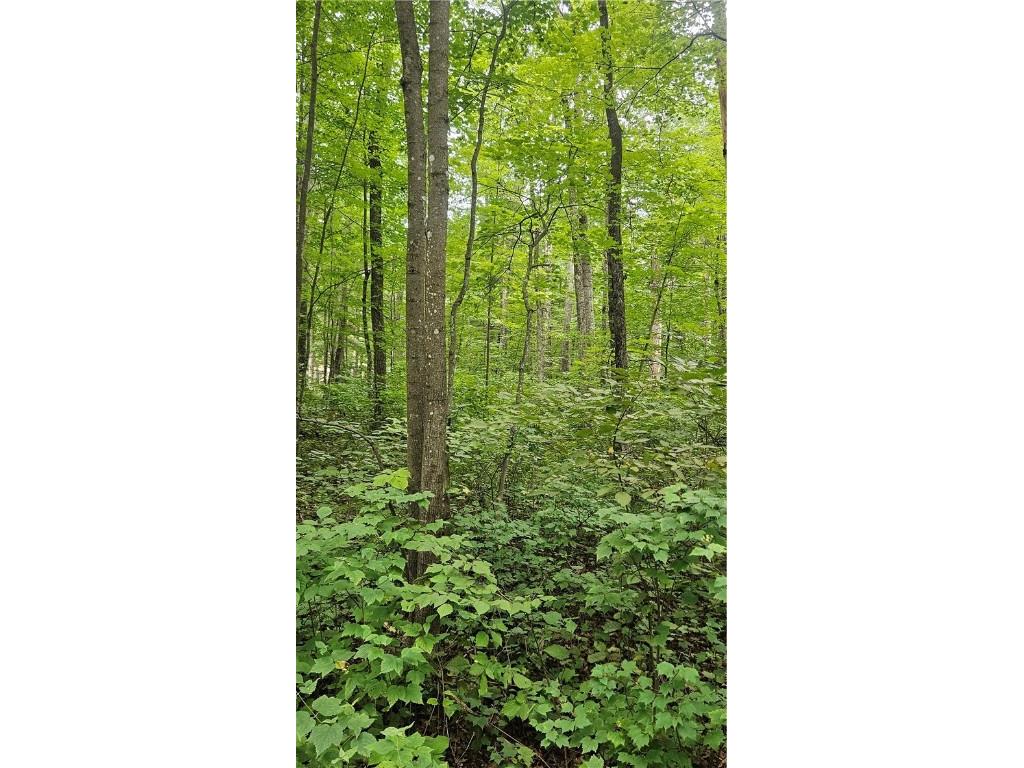 Lots 17 18 36-40 BLK 13 Dixon Ave Hayward WI 54843 1594813 image6