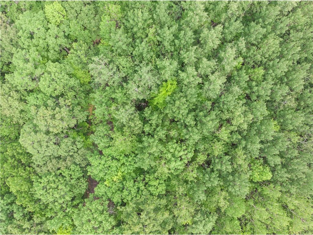 Lots 17-32 Indian Drive Hayward WI 54843 1592563 image12