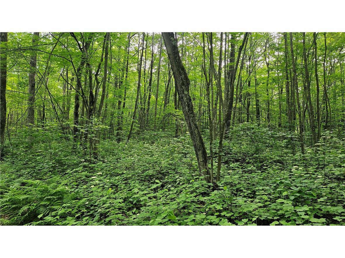 Lots 17-32 Indian Drive Hayward WI 54843 1592563 image2