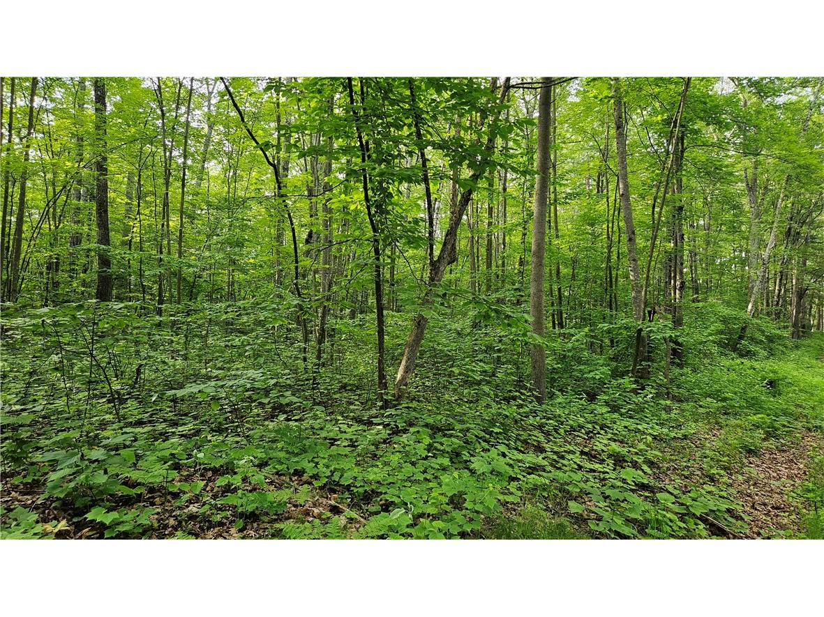 Lots 17-32 Indian Drive Hayward WI 54843 1592563 image3