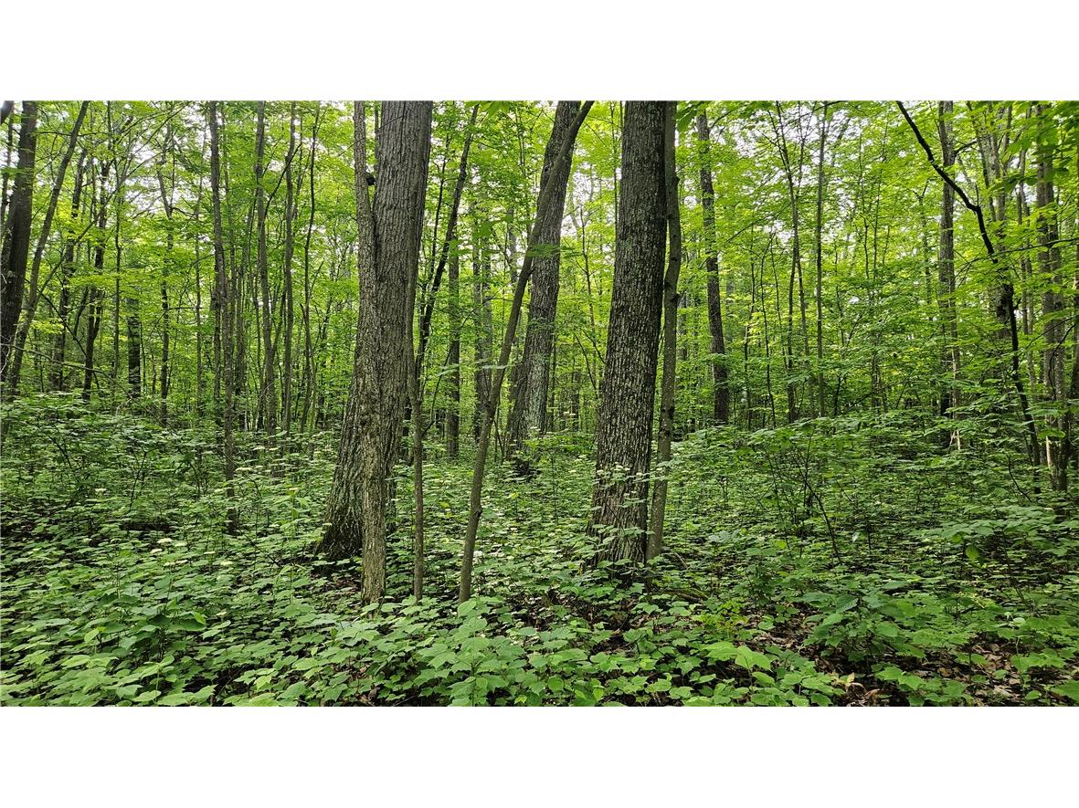 Lots 17-32 Indian Drive Hayward WI 54843 1592563 image4