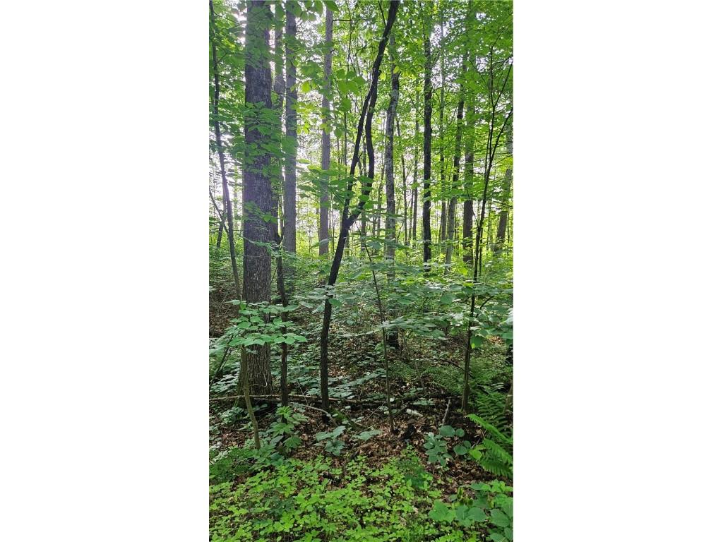 Lots 19-25 John Ericsson Avenue Hayward WI 54843 1592533 image11