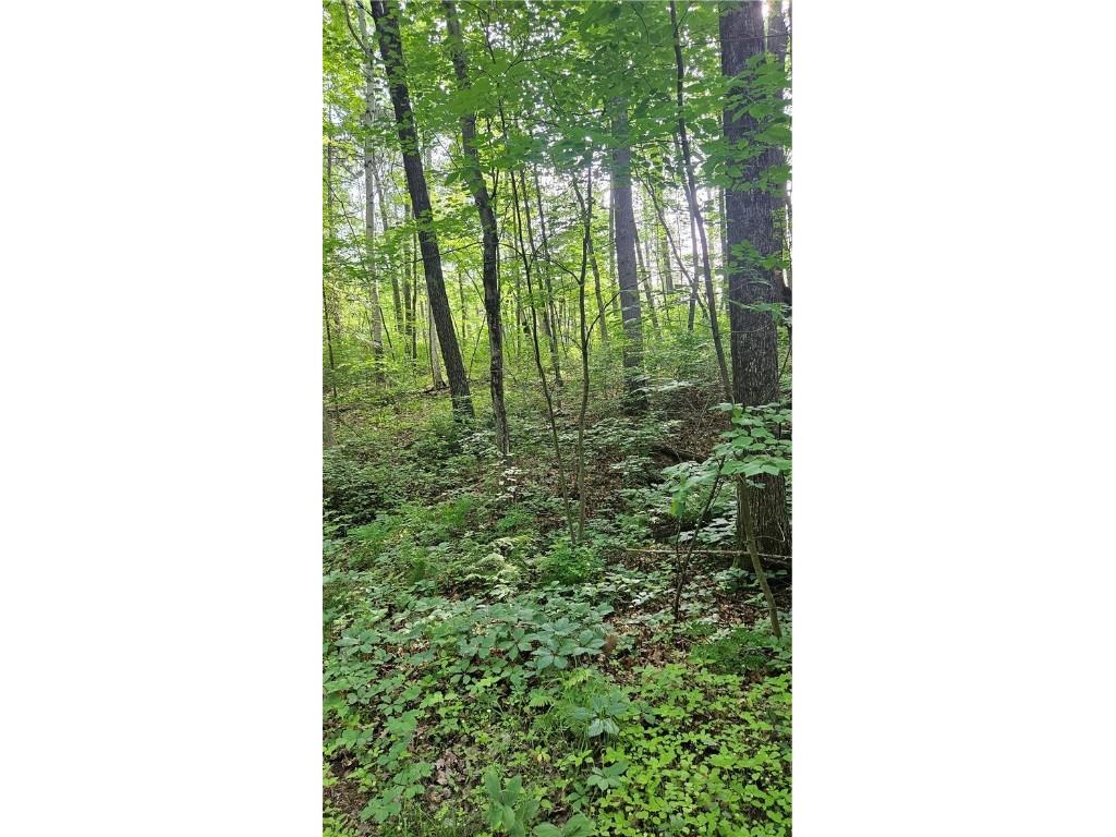 Lots 19-25 John Ericsson Avenue Hayward WI 54843 1592533 image12