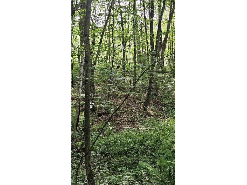 Lots 19-25 John Ericsson Avenue Hayward WI 54843 1592533 image13