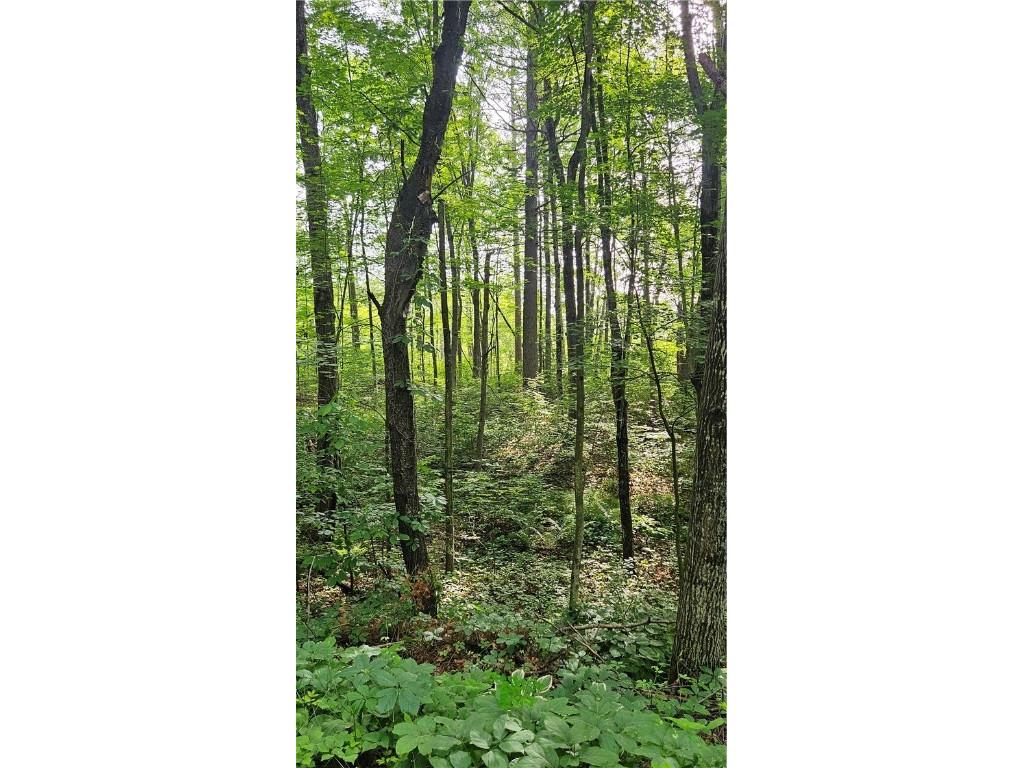 Lots 19-25 John Ericsson Avenue Hayward WI 54843 1592533 image14