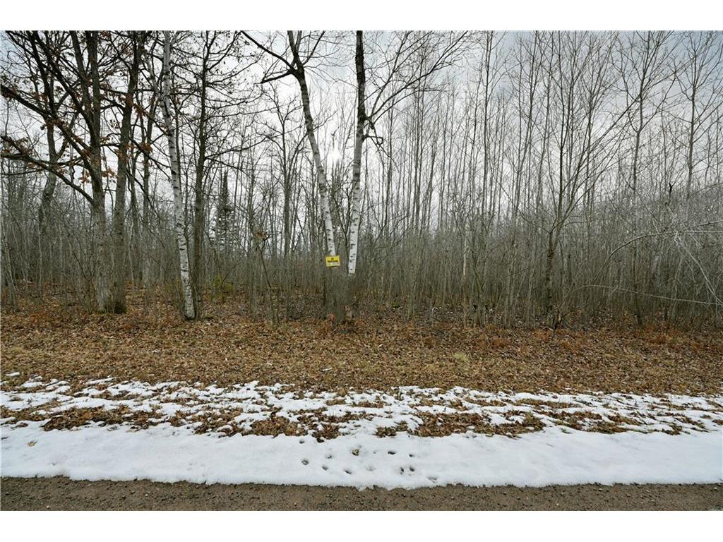 Lots 2 & 3 Buchman Road Springbrook WI 54875 - Gull 1579362 image1