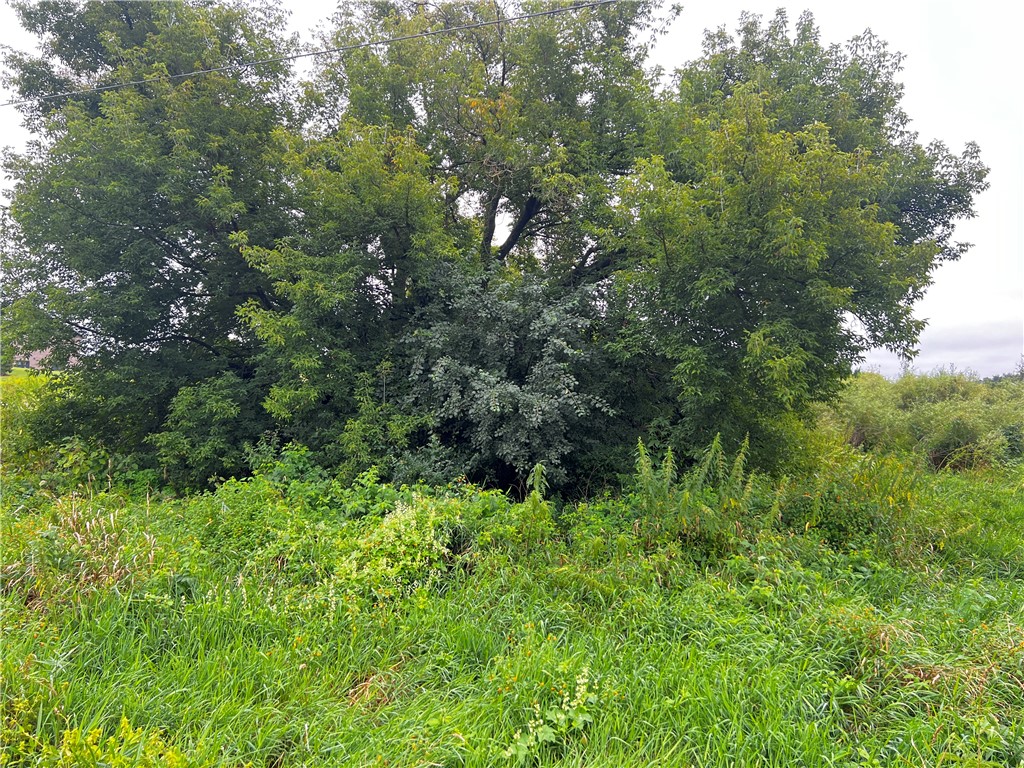 Lots 20 & 21 250th Street Cadott WI 54727 1595585 image1