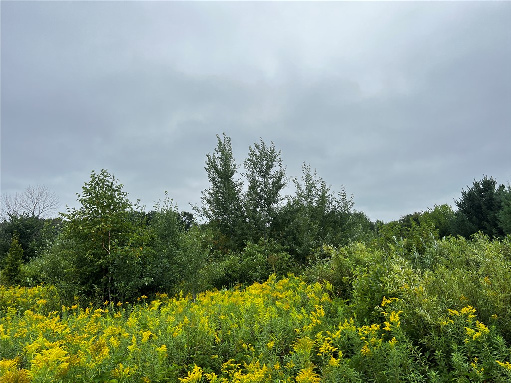 Lots 20 & 21 250th Street Cadott WI 54727 1595585 image10