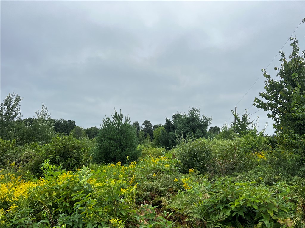 Lots 20 & 21 250th Street Cadott WI 54727 1595585 image11