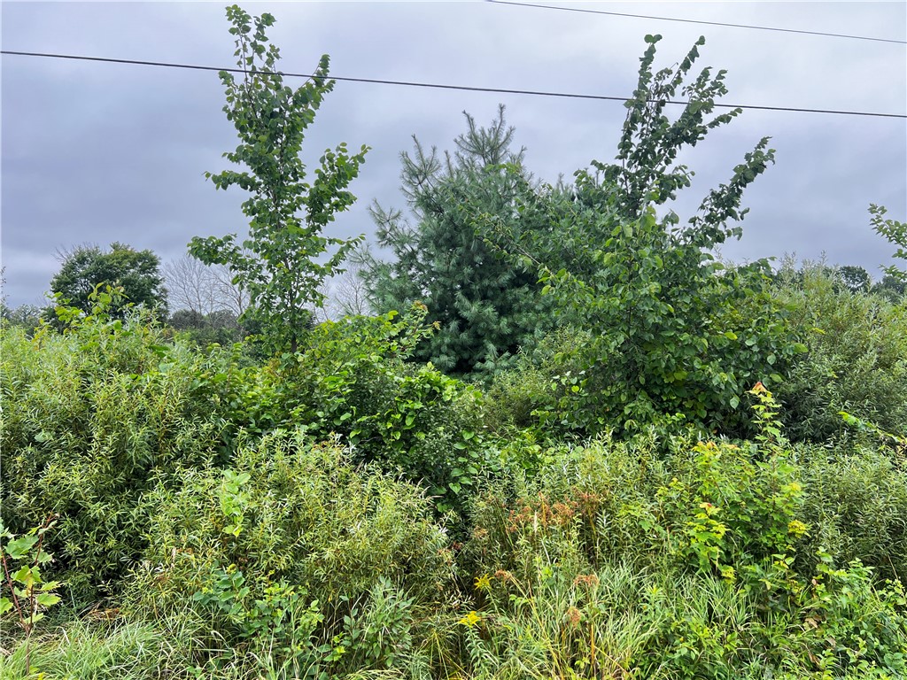 Lots 20 & 21 250th Street Cadott WI 54727 1595585 image12