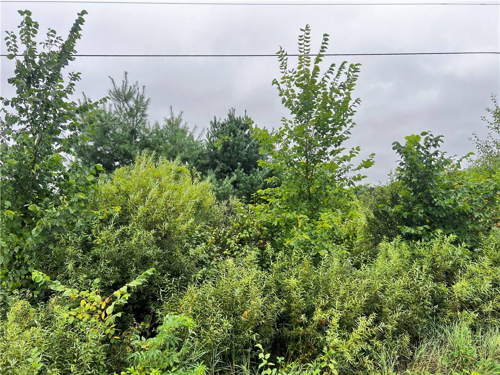 Lots 20 & 21 250th Street Cadott WI 54727 1595585 image13