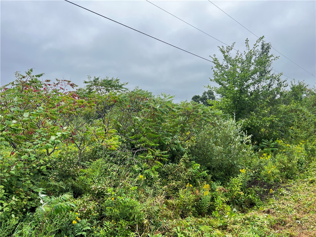 Lots 20 & 21 250th Street Cadott WI 54727 1595585 image14