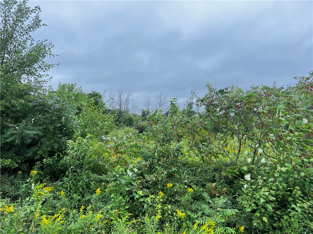 Lots 20 & 21 250th Street Cadott WI 54727 1595585 image15