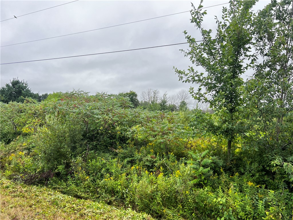 Lots 20 & 21 250th Street Cadott WI 54727 1595585 image16