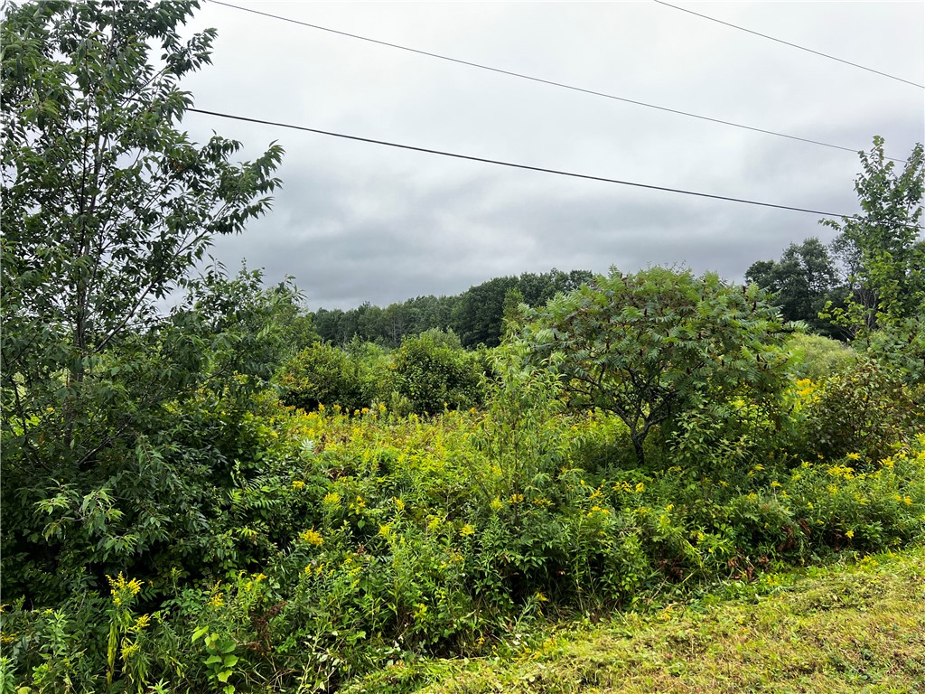 Lots 20 & 21 250th Street Cadott WI 54727 1595585 image17