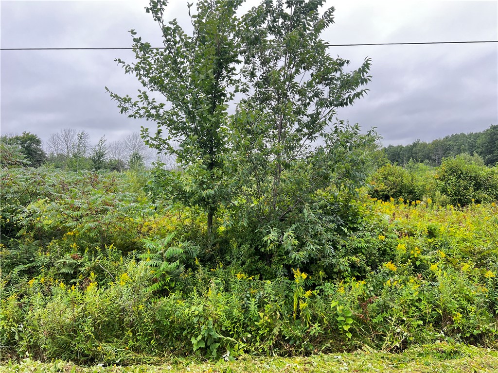 Lots 20 & 21 250th Street Cadott WI 54727 1595585 image18