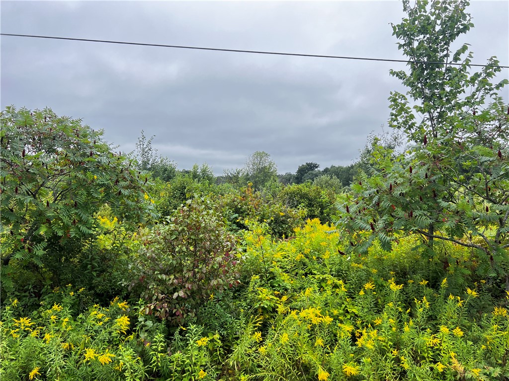 Lots 20 & 21 250th Street Cadott WI 54727 1595585 image19