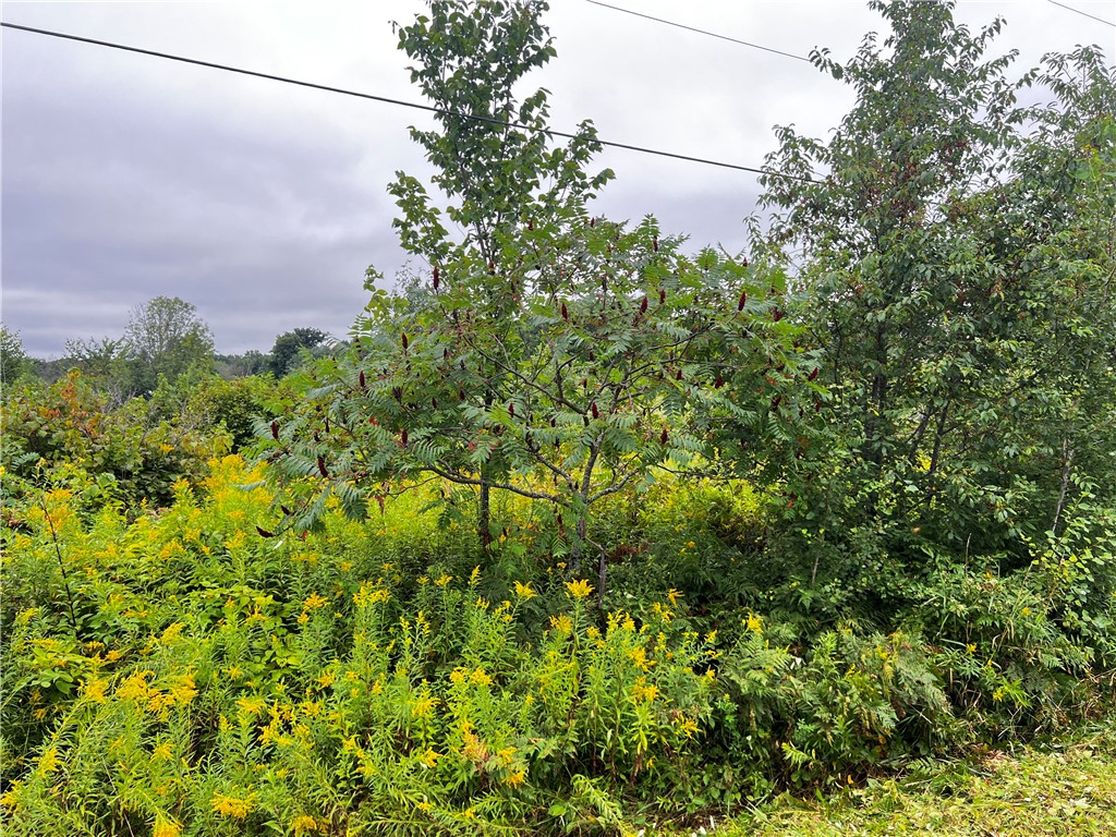 Lots 20 & 21 250th Street Cadott WI 54727 1595585 image20