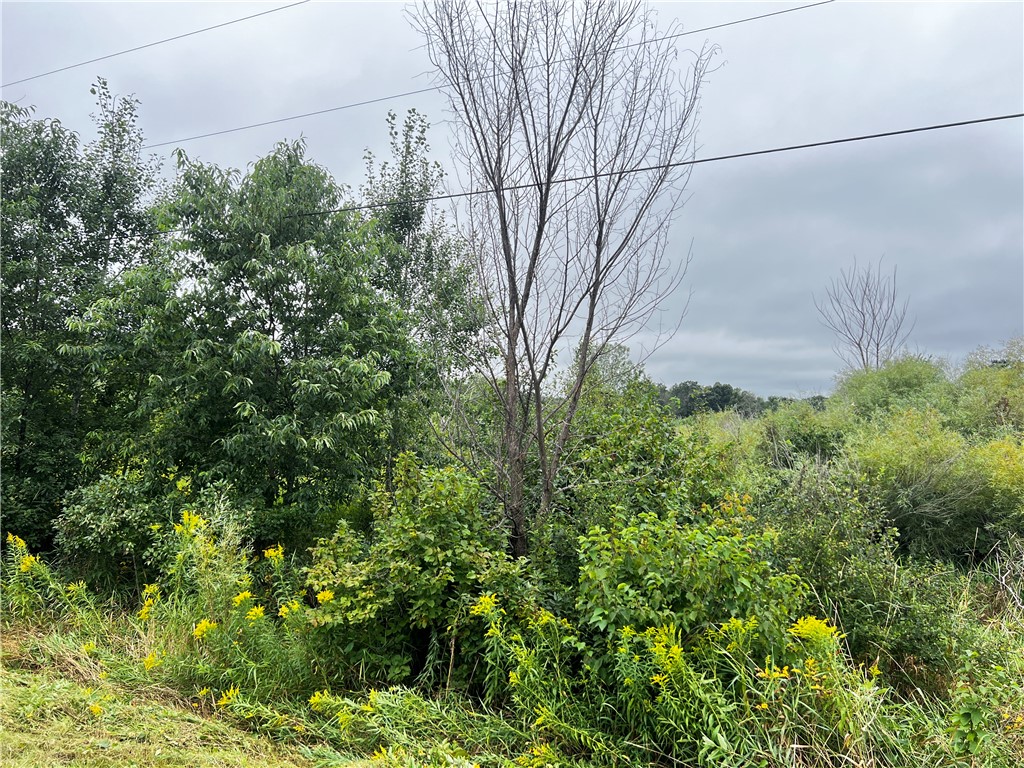 Lots 20 & 21 250th Street Cadott WI 54727 1595585 image21