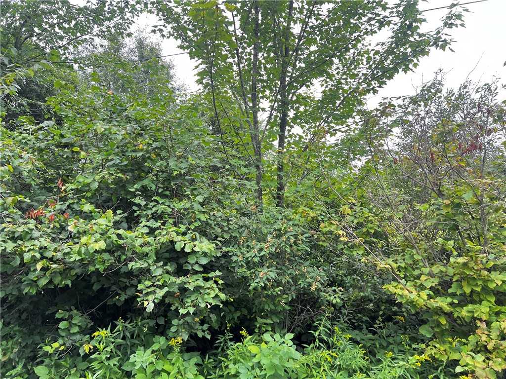 Lots 20 & 21 250th Street Cadott WI 54727 1595585 image3