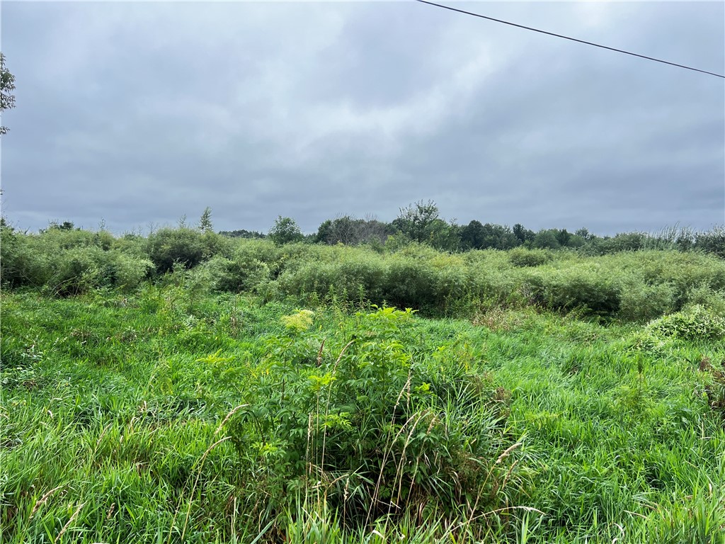 Lots 20 & 21 250th Street Cadott WI 54727 1595585 image4