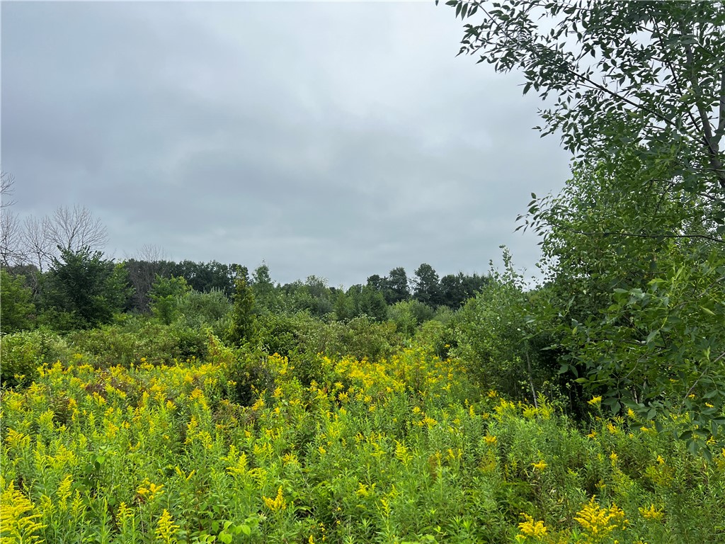 Lots 20 & 21 250th Street Cadott WI 54727 1595585 image7