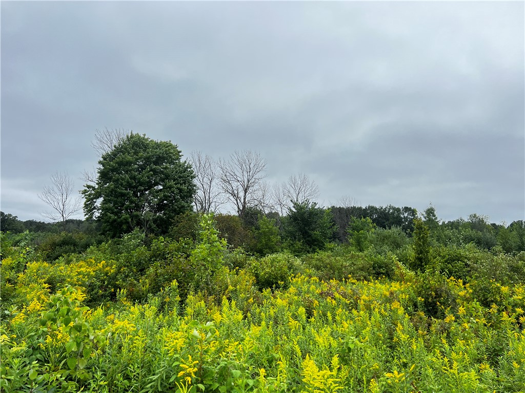 Lots 20 & 21 250th Street Cadott WI 54727 1595585 image8
