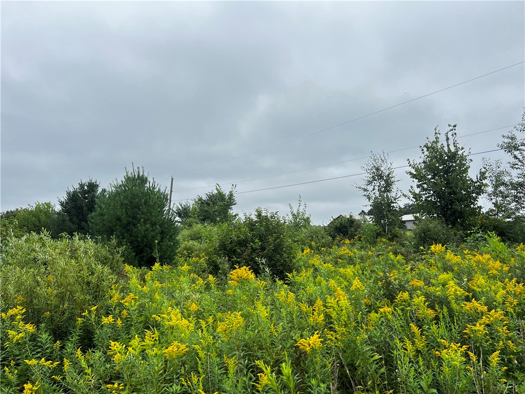Lots 20 & 21 250th Street Cadott WI 54727 1595585 image9