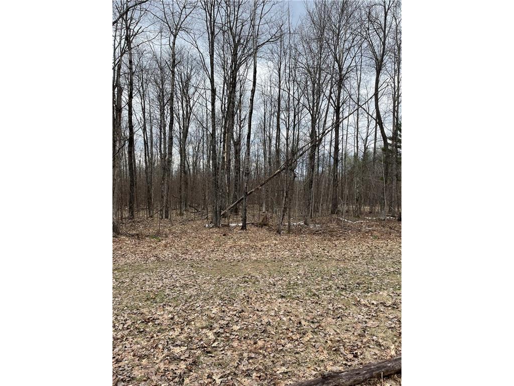 Lots 21-23 Tanglewood Court Cable WI 54821 1572960 image1