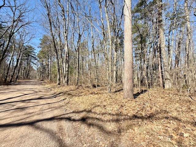 Lots 21-29 Badger Road Hayward WI 54843 1589678 image1