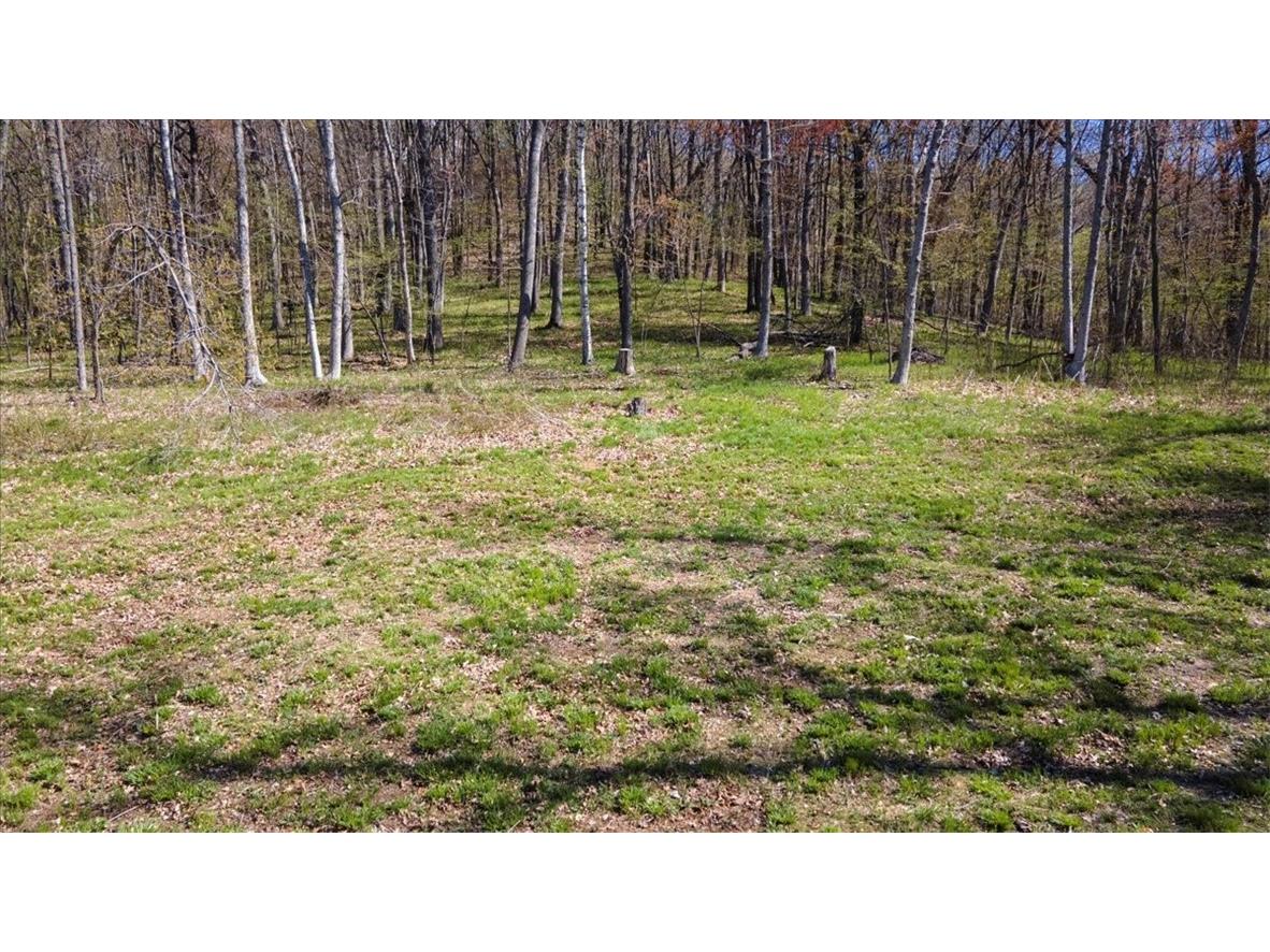 Lots 4 5 & 6 Anderson Hill Lane Boyceville WI 54725 1591326 image28