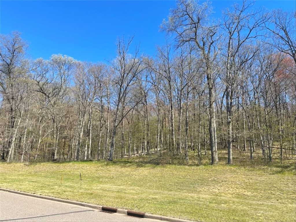 Lots 4 5 & 6 Anderson Hill Lane Boyceville WI 54725 1591326 image30