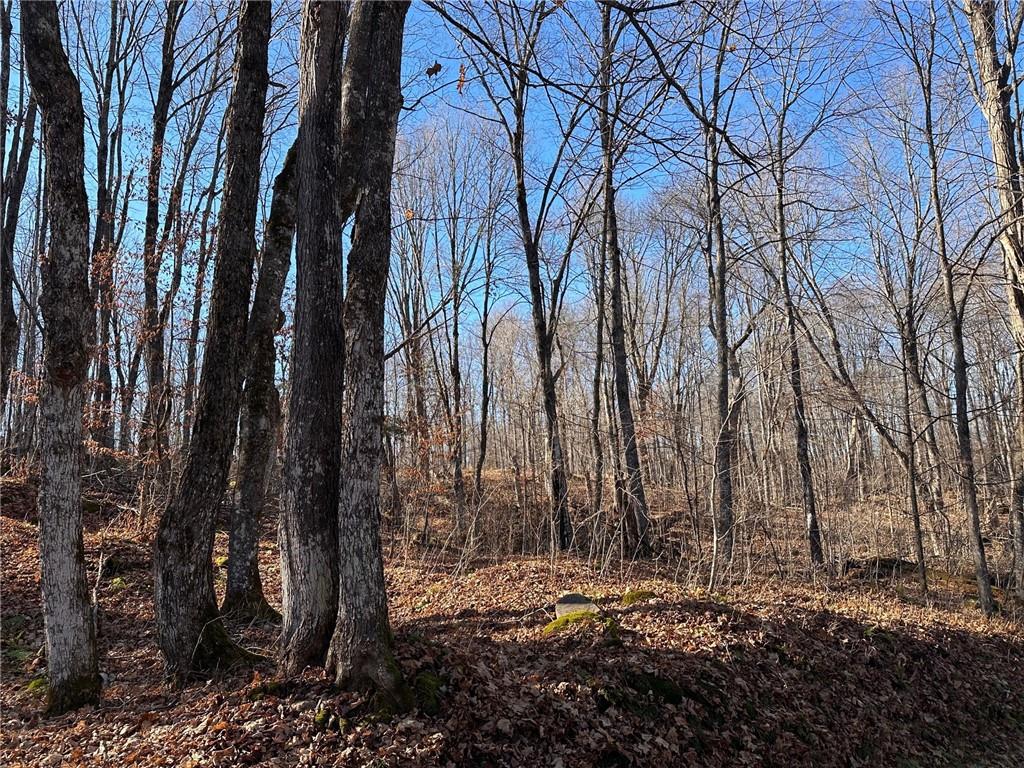 Lots 54 & 55 Wolf Island Road Hayward WI 54843 1578293 image1