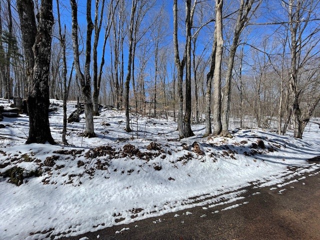 Lots 54 & 55 Wolf Island Road Hayward WI 54843 1599634 image1