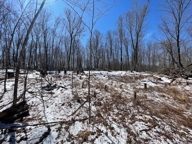 Lots 54 & 55 Wolf Island Road Hayward WI 54843 1599634 image10