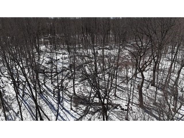 Lots 54 & 55 Wolf Island Road Hayward WI 54843 1599634 image15