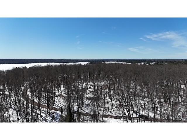 Lots 54 & 55 Wolf Island Road Hayward WI 54843 1599634 image18