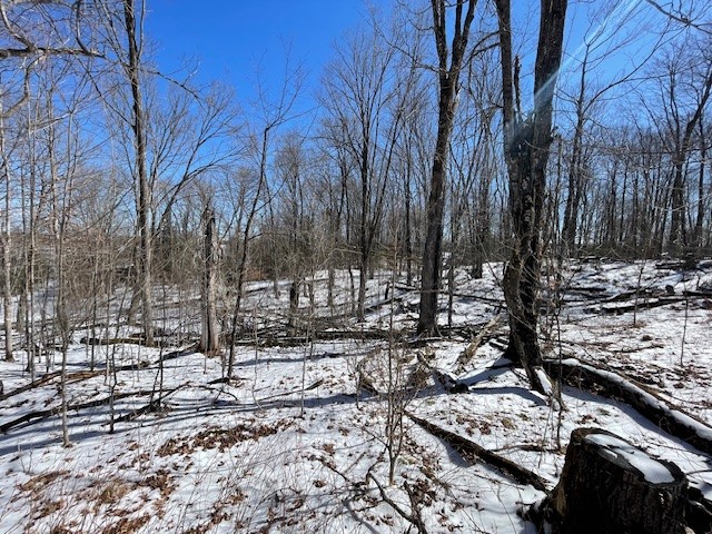 Lots 54 & 55 Wolf Island Road Hayward WI 54843 1599634 image5