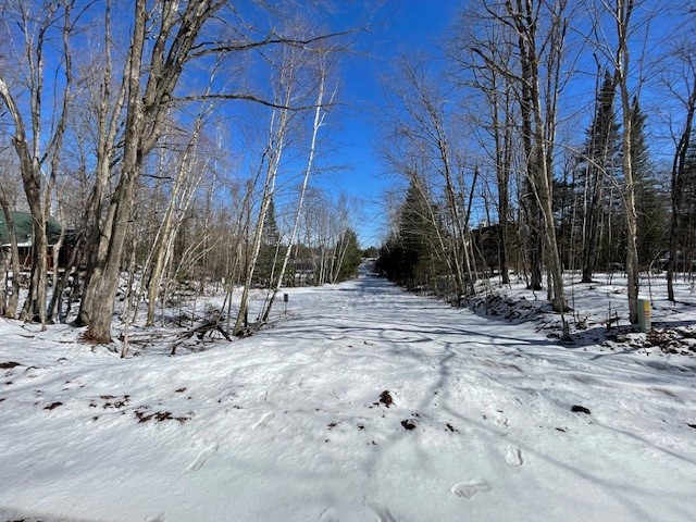 Lots 54 & 55 Wolf Island Road Hayward WI 54843 1599634 image7