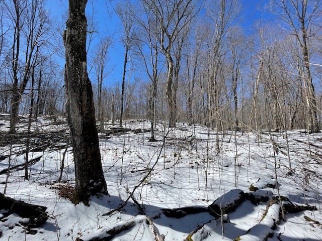Lots 54 & 55 Wolf Island Road Hayward WI 54843 1599634 image9