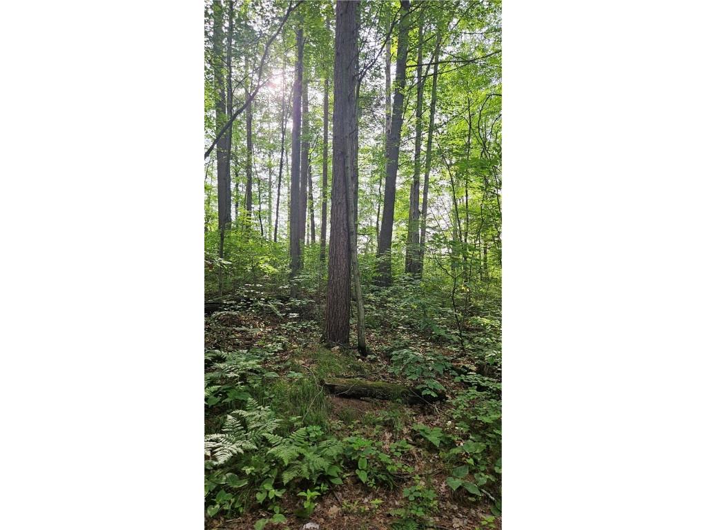 Lots 6-10 31-35 John Ericsson Avenue Hayward WI 54843 1592535 image14