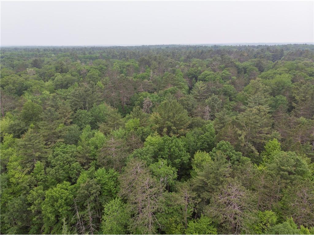 Lots 6-10 31-35 John Ericsson Avenue Hayward WI 54843 1592535 image5