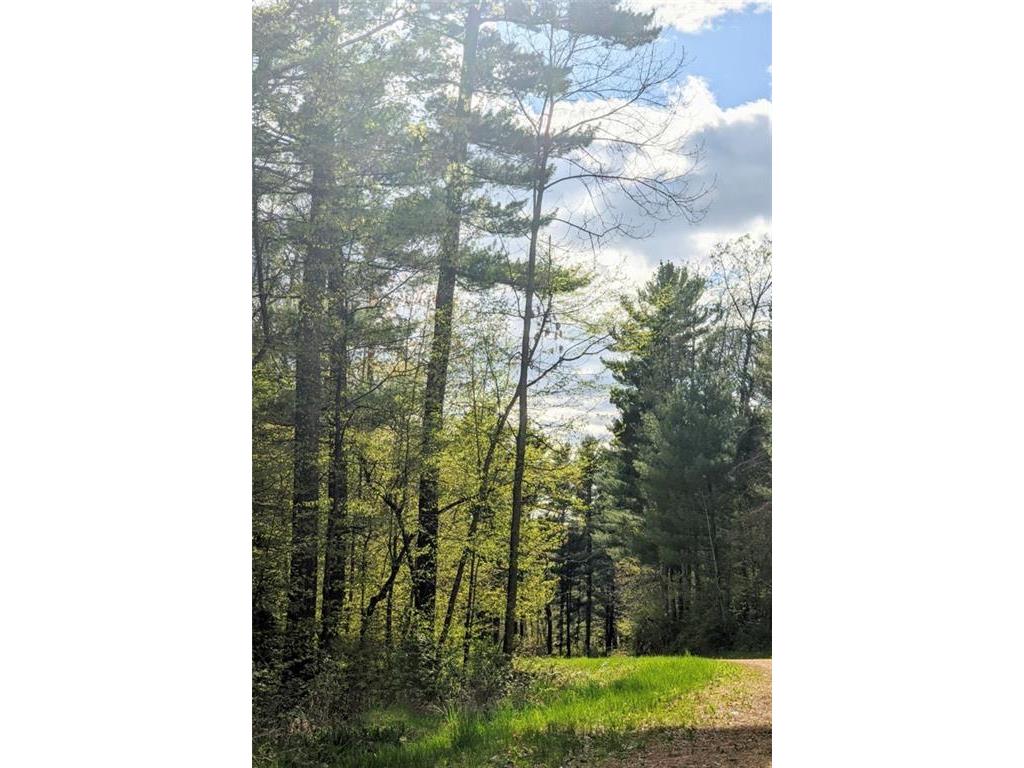 Lots 7 8 297th Street, Eau Galle, WI, 54737 MLS 1582411 Edina Realty