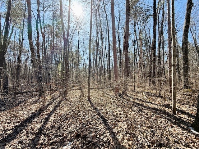 Lots 8-20 Lake Drive Hayward WI 54843 1589616 image1