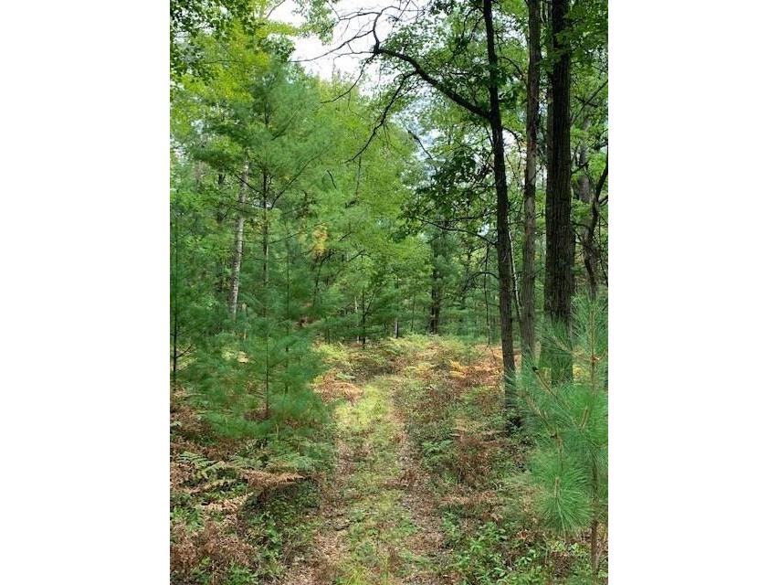 Lots 8 & 9 County Road J Neillsville WI 54456 1572708 image1