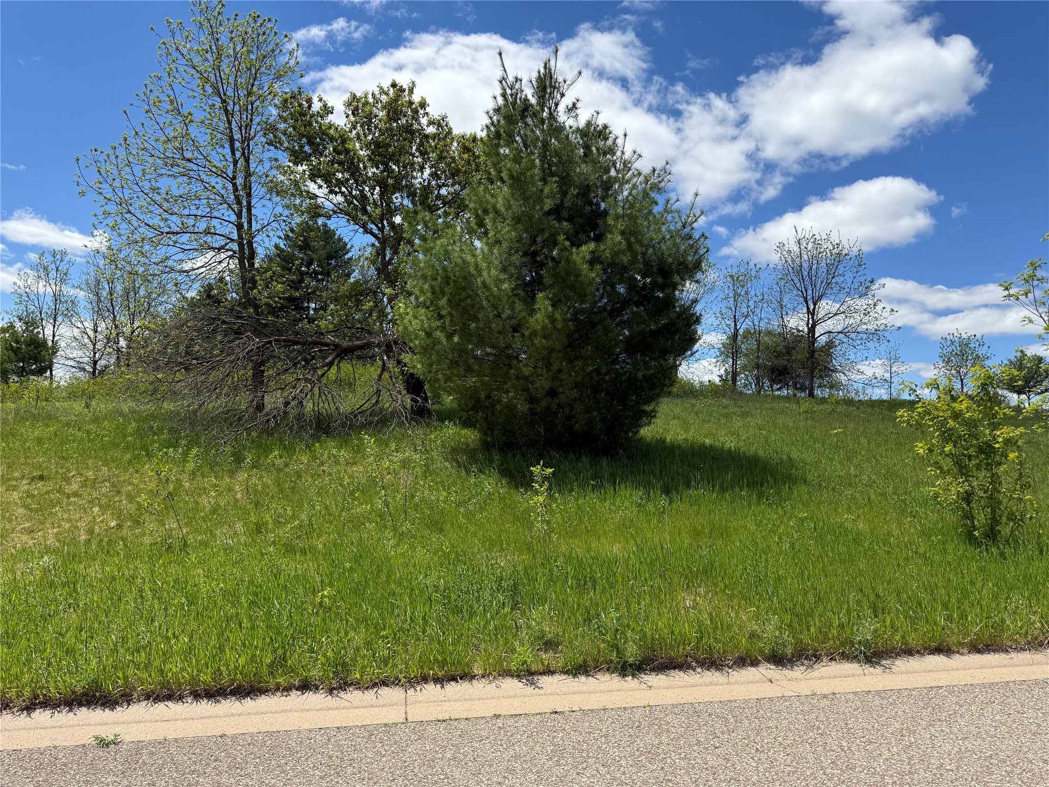 Lots 84-88 Van Buren Street Black River Falls WI 54615 1601407 image1