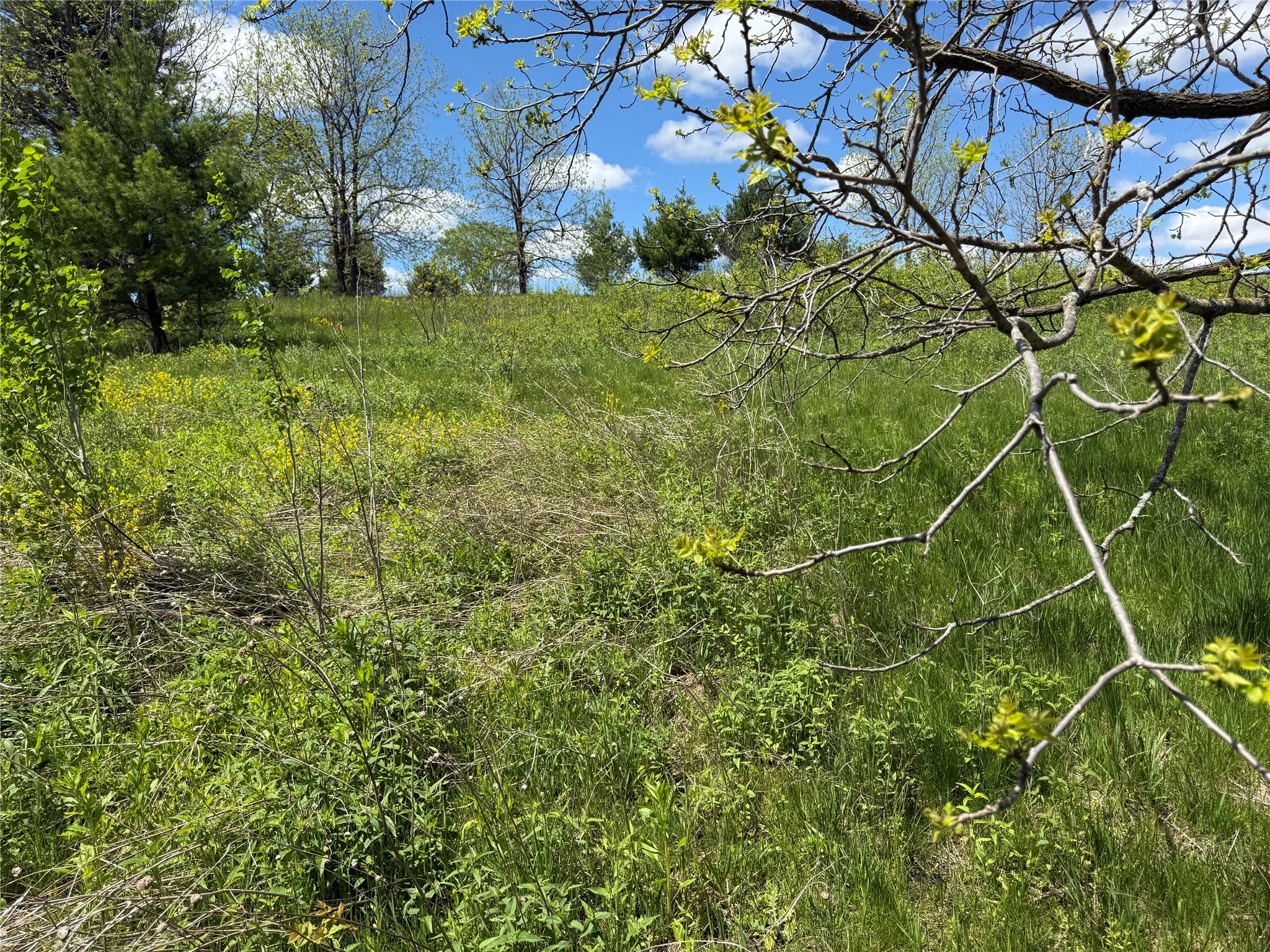 Lots 84-88 Van Buren Street Black River Falls WI 54615 1601407 image10