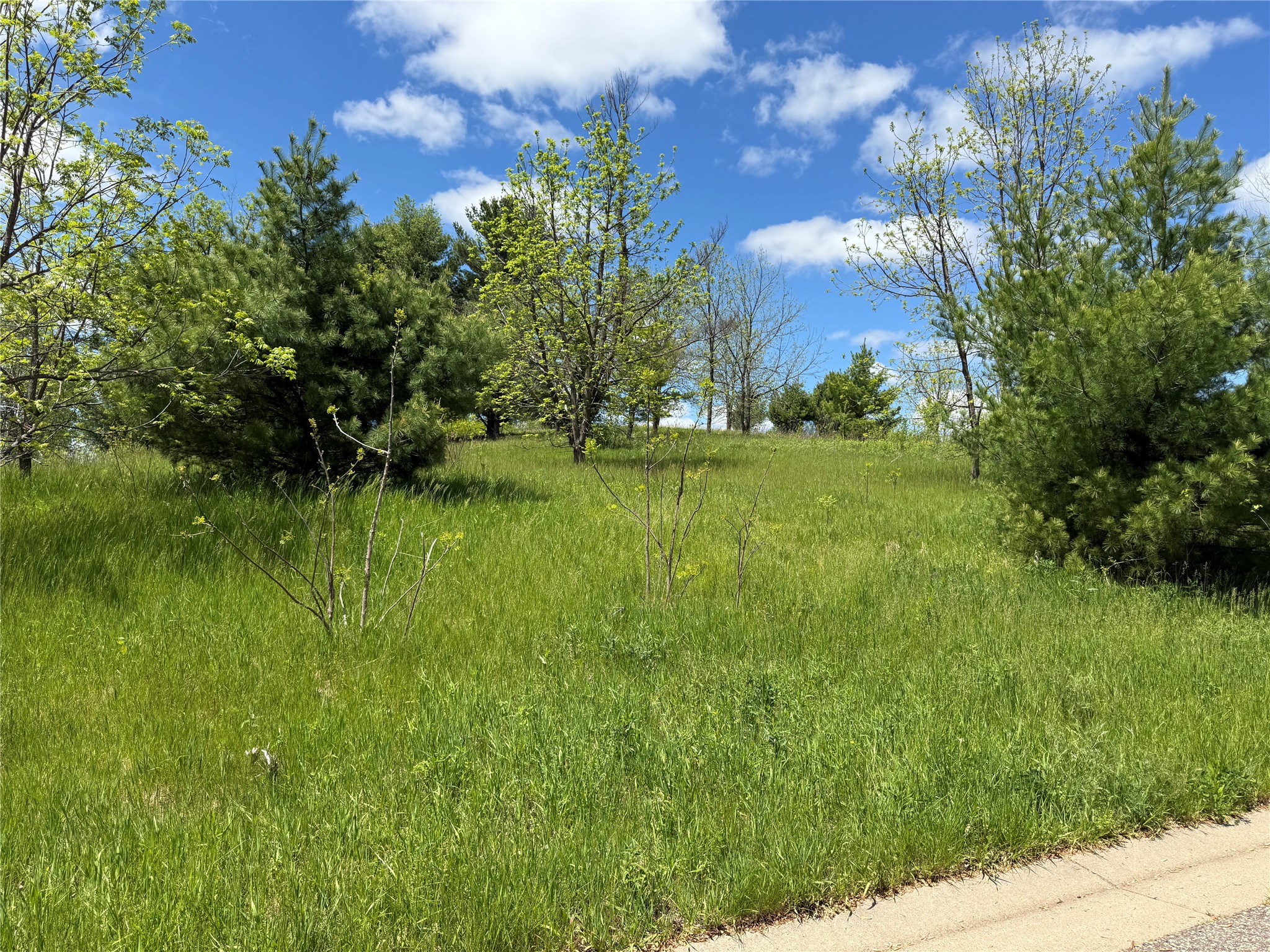 Lots 84-88 Van Buren Street Black River Falls WI 54615 1601407 image11